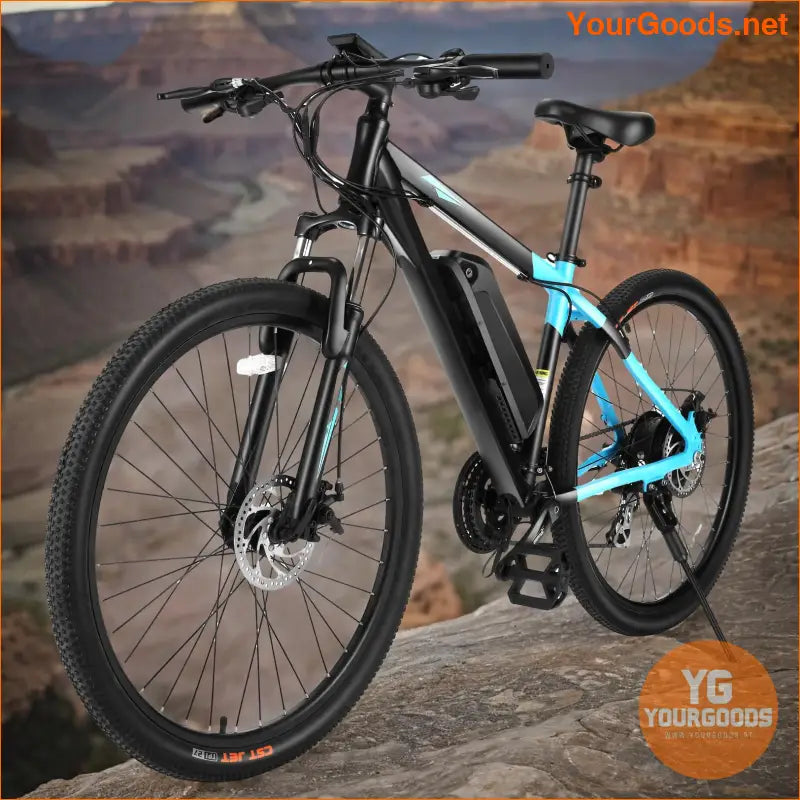 275 Adult Electric Mountain Bike with 48V Battery - YourGoods Online Shop