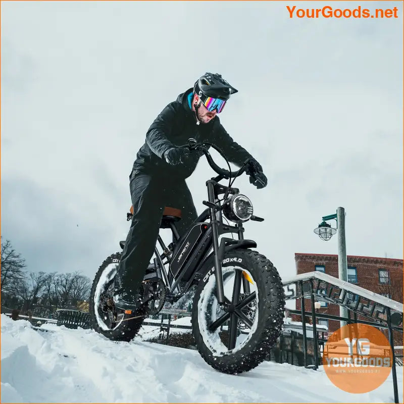 750W 48V 20 Fat Tire Electric Off Road Commuter Bike - YourGoods Online Shop