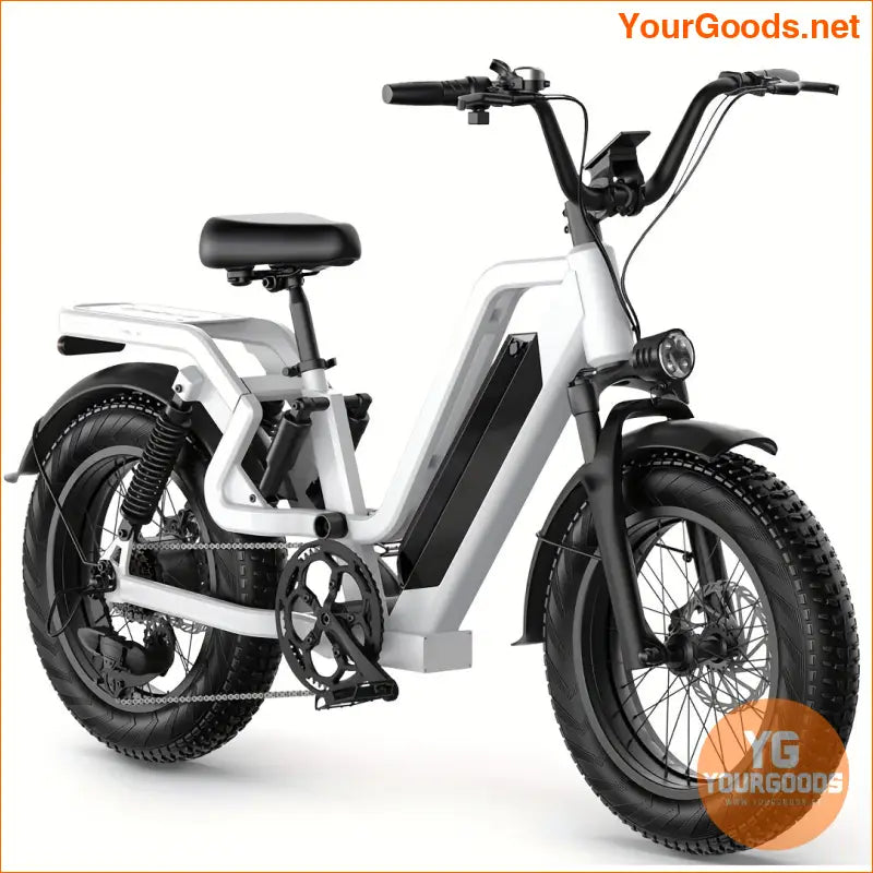 750W 48V 25AH 20 Fat Tire Mountain Ebike - YourGoods Online Shop