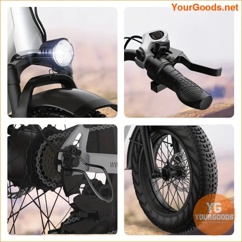 750W 48V 25AH 20 Fat Tire Mountain Ebike - YourGoods Online Shop