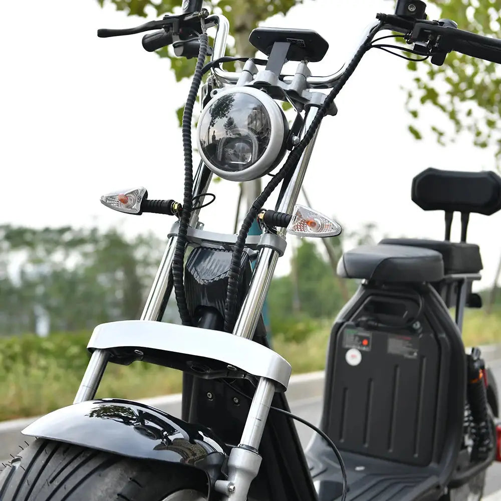 Citycoco Electric Scooter 4000W 80KMH 60V 250KG Load