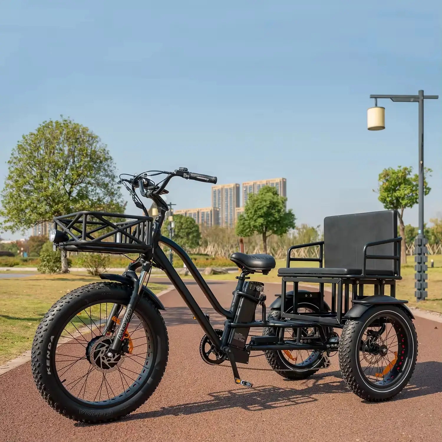 Two-person electric tricycle with fat tires for stable and eco-friendly transportation