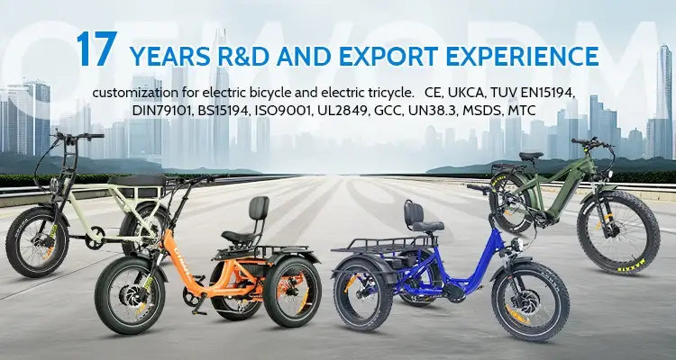 Two-person electric tricycle with fat tires for stable and eco-friendly transportation