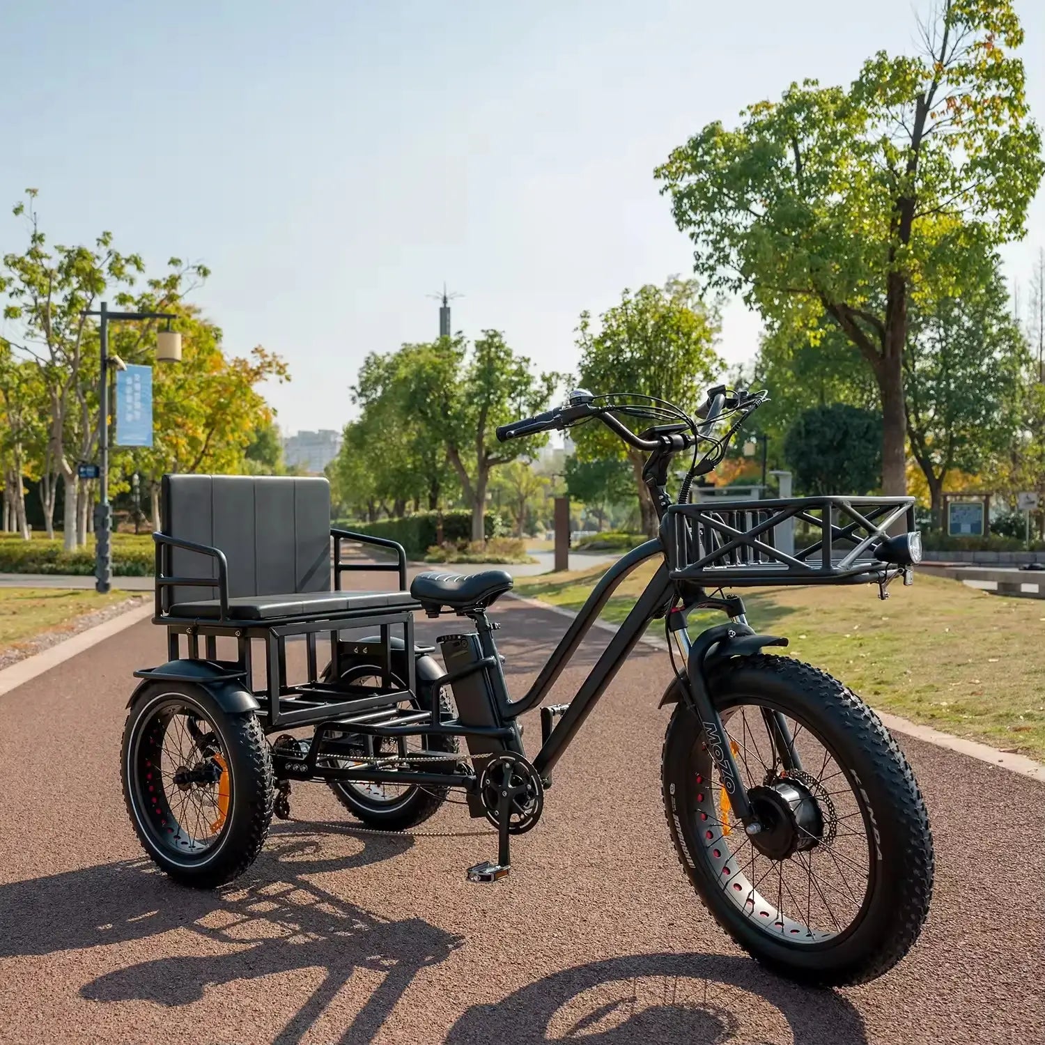 Two-person electric tricycle with fat tires for stable and eco-friendly transportation