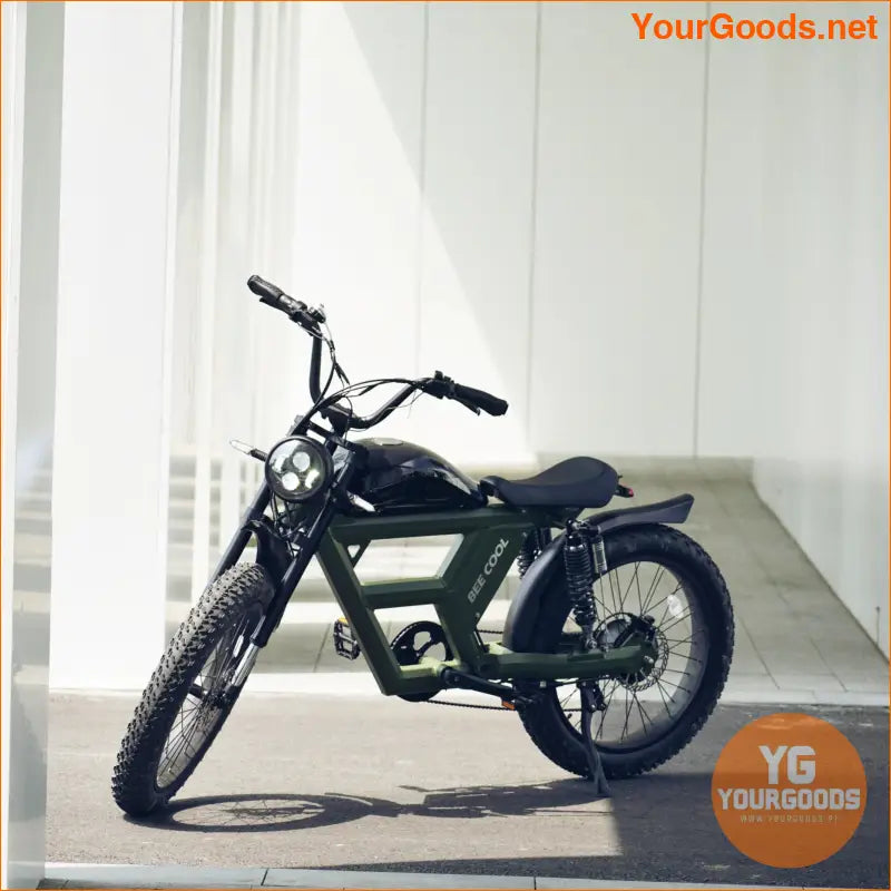 BeeCool Challenger 750W Full Suspension Fat Tire eBike - YourGoods Online Shop