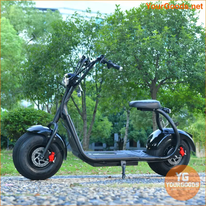 EHOODAX Citycoco Electric Scooter 45KMH 1000W 60V12AH - YourGoods Online Shop