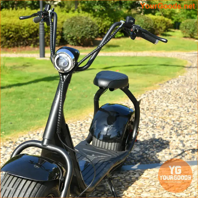 EHOODAX Citycoco Electric Scooter 45KMH 1000W 60V12AH - YourGoods Online Shop