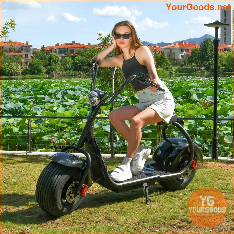 EHOODAX Citycoco Electric Scooter 45KMH 1000W 60V12AH - YourGoods Online Shop