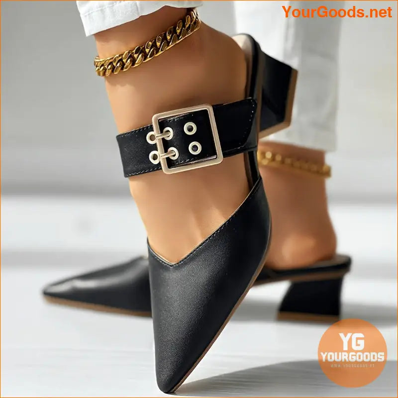 Elegant Mary Jane Point Toe Block Heels - YourGoods Online Shop