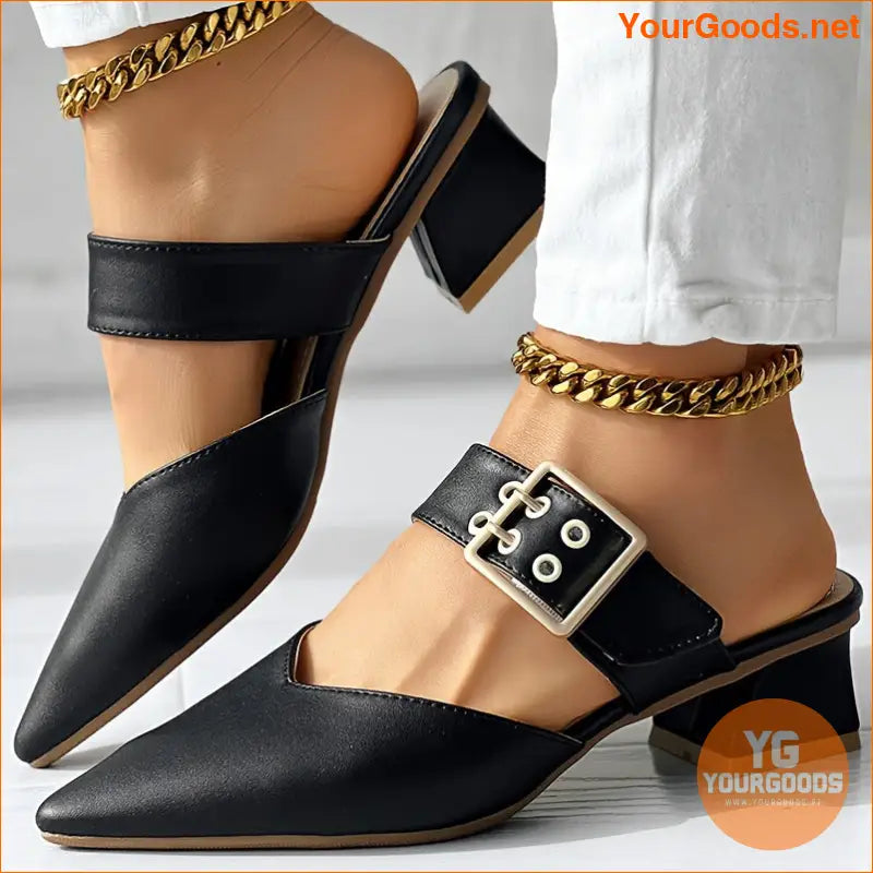 Elegant Mary Jane Point Toe Block Heels - YourGoods Online Shop