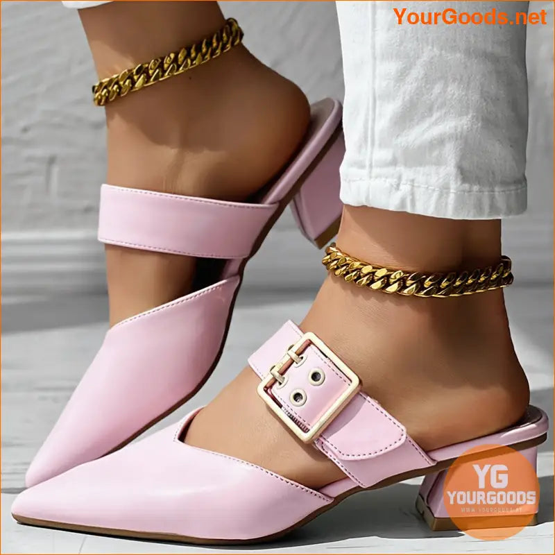 Elegant Mary Jane Point Toe Block Heels - YourGoods Online Shop