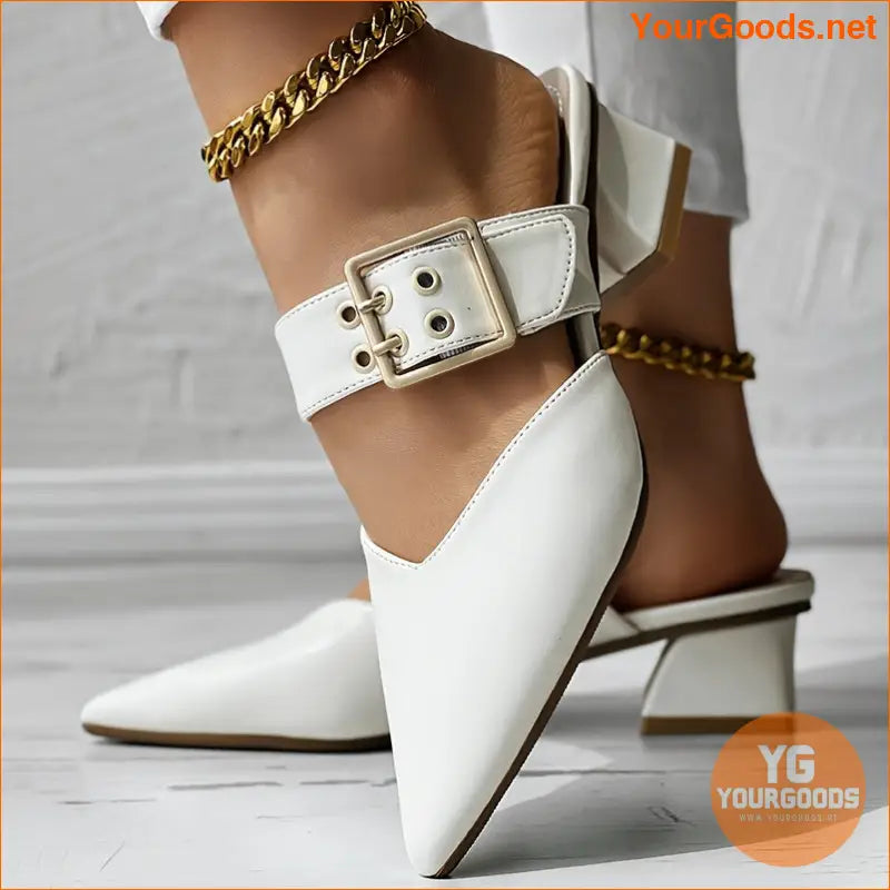 Elegant Mary Jane Point Toe Block Heels - YourGoods Online Shop