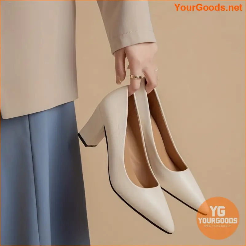 Elegant PointedToe Pumps Soft Sole Block Heel - YourGoods Online Shop