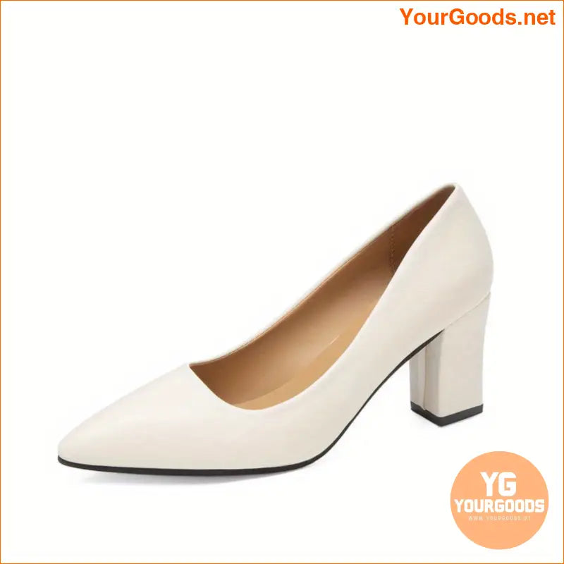 Elegant PointedToe Pumps Soft Sole Block Heel - YourGoods Online Shop