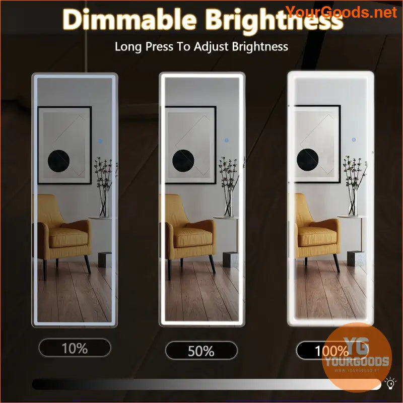 Luxurious 64x21 LED FullLength Standing Mirror Adjustable Stable - YourGoods Online Shop