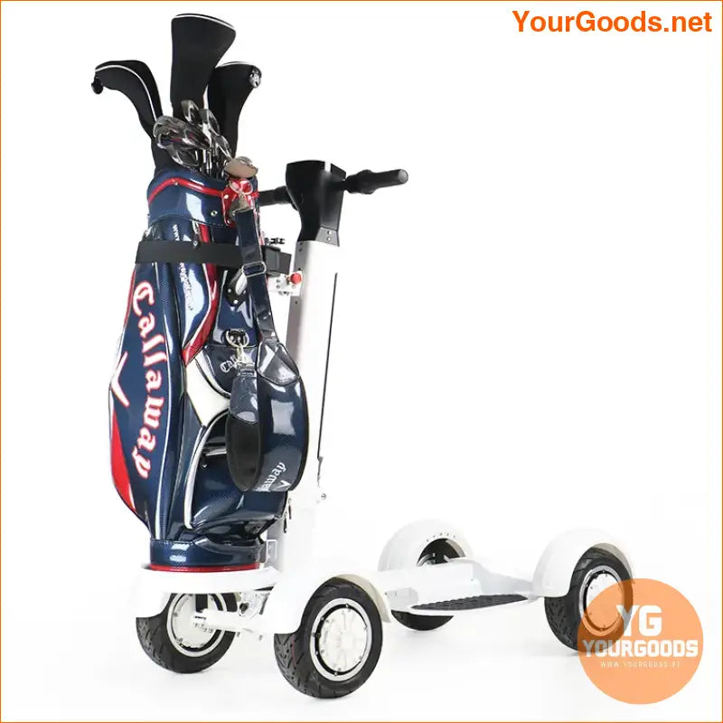 Mobility Scooters Electric 4 Wheel Dual Drive Chariot Golf 2000W Single Electric Golf Cart Golf Scooter