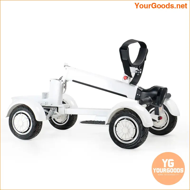 Mobility Scooters Electric 4 Wheel Dual Drive Chariot Golf 2000W Single Electric Golf Cart Golf Scooter