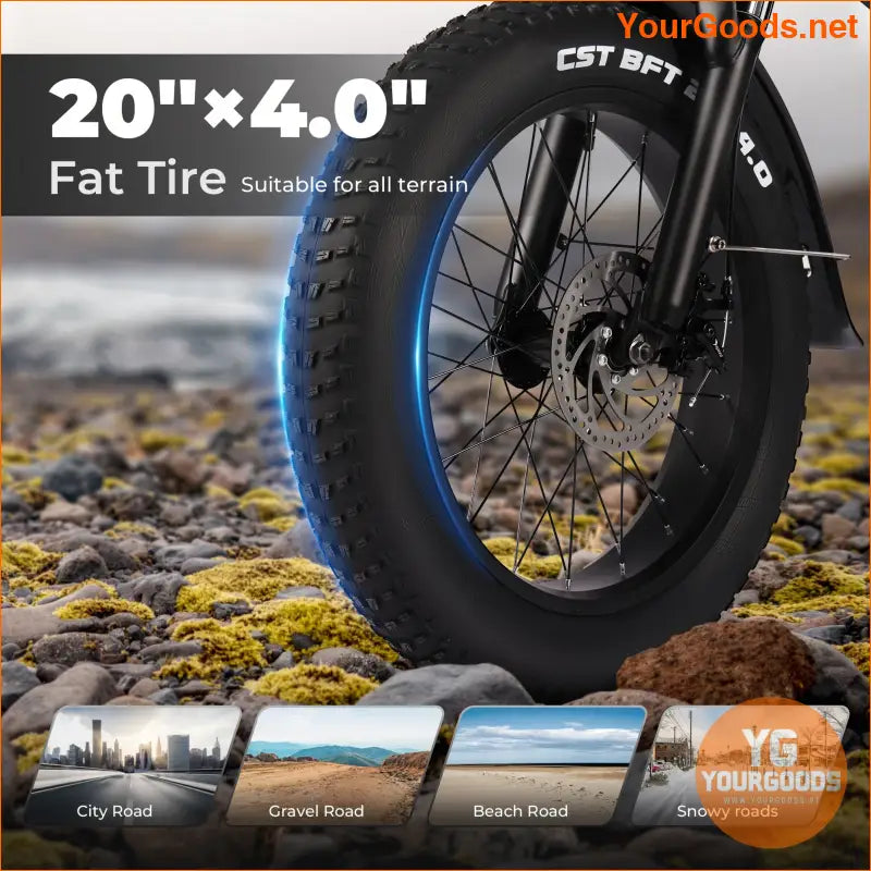 Peak 750W Foldable Full Suspension Fat Tire EBike - YourGoods Online Shop