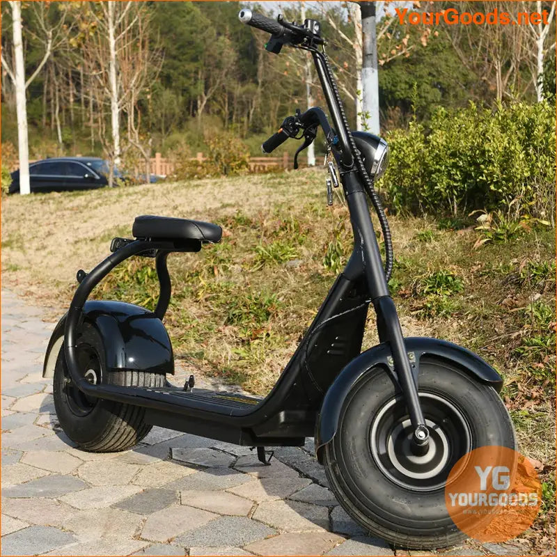 Powerful Citycoco 2000W Electric Scooter with Removable Battery - YourGoods Online Shop