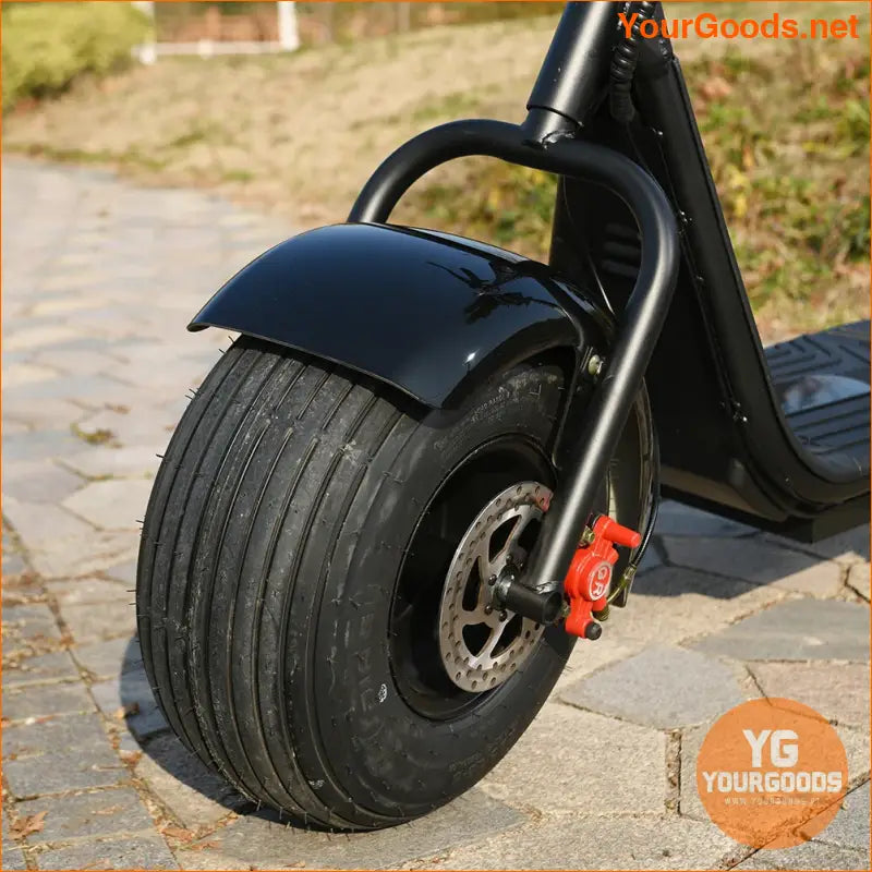 Powerful Citycoco 2000W Electric Scooter with Removable Battery - YourGoods Online Shop