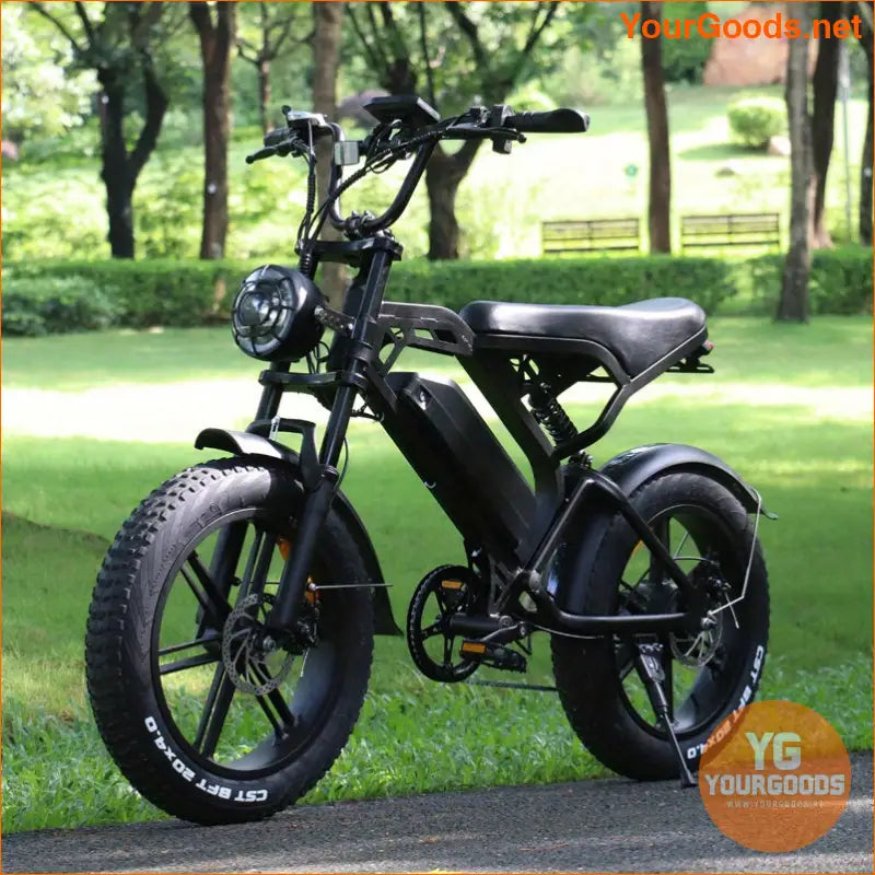 Powerful V20 750W Electric Bike 50km Range 20mph - YourGoods Online Shop