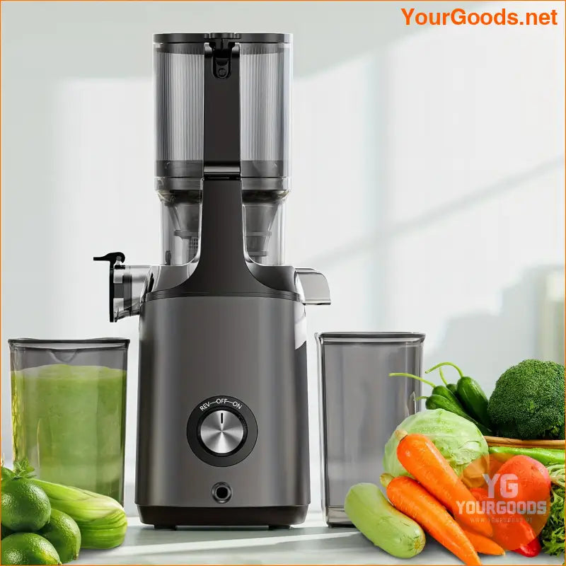 ProPlus Wide Chute High Yield Easy Clean Juicer - YourGoods Online Shop