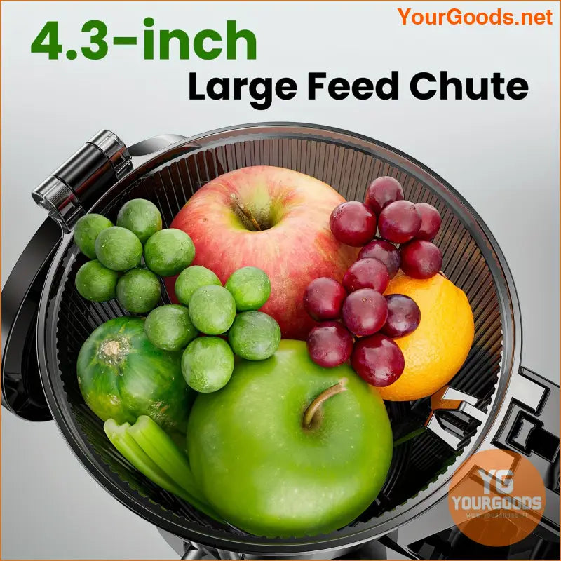 ProPlus Wide Chute High Yield Easy Clean Juicer - YourGoods Online Shop