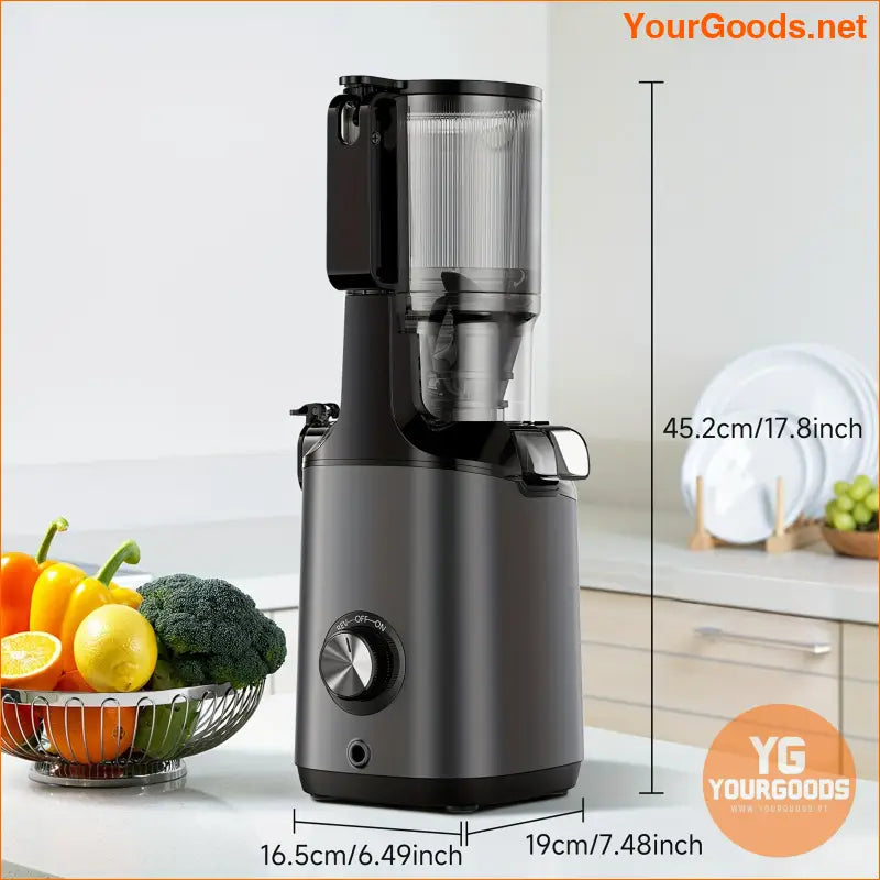 ProPlus Wide Chute High Yield Easy Clean Juicer - YourGoods Online Shop