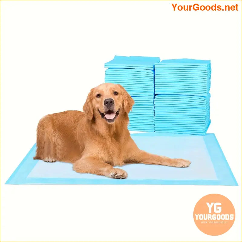 Scratch Me 100 Super Absorbent Waterproof Puppy Training Pads - YourGoods Online Shop