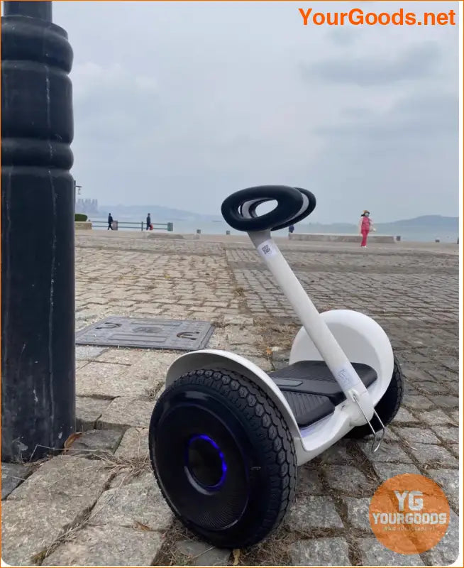 Segway L8 Self Balancing Scooters for Adult Kids 32km Range 14km/h Intelligent Kick e-Scooter