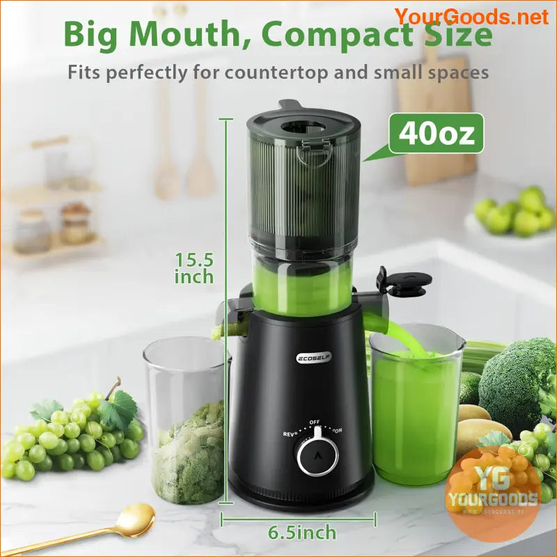 Wide Mouth Slow Juicer High Yield Easy Clean Versatile - YourGoods Online Shop